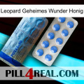 Leopard Secret Miracle Honey 40